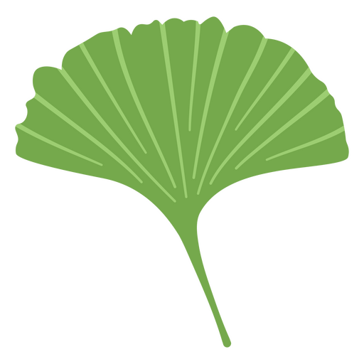 decoração de folha de árvore ginkgo Desenho PNG