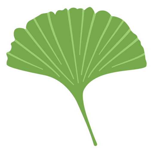 Decoración de hojas de árbol de ginkgo Diseño PNG