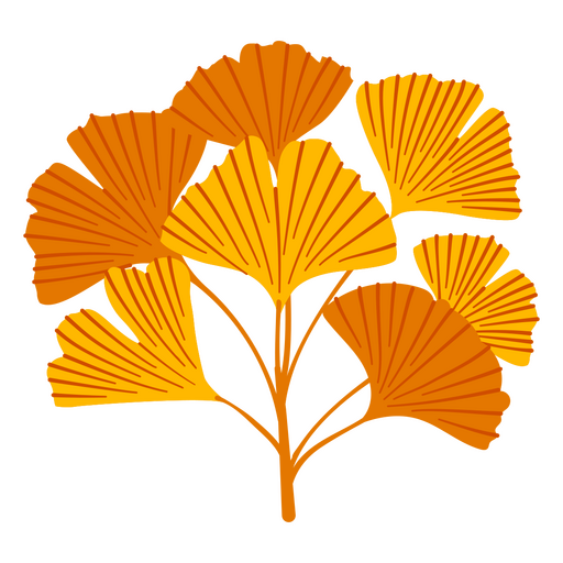 Decoração com folhas de Ginkgo biloba Desenho PNG