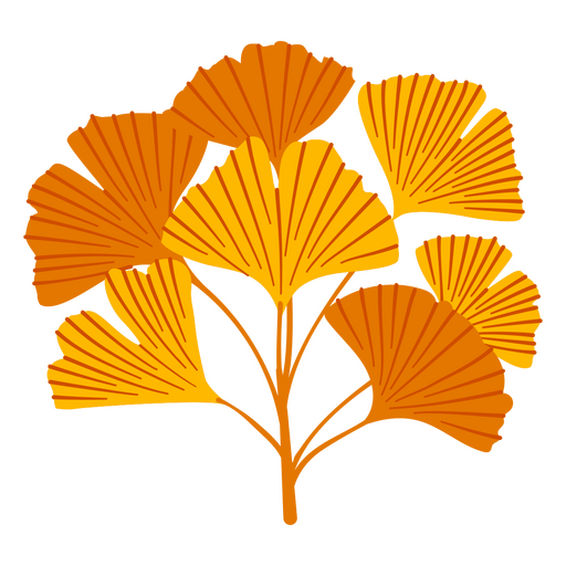 Decoración de hojas de ginkgo biloba Diseño PNG