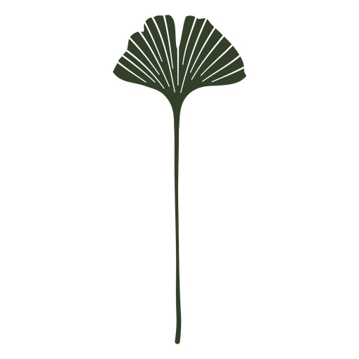 Blattmuster des Ginkgobaums PNG-Design