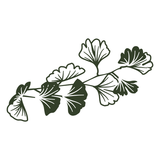 Enfeites de folhas de ?rvore de Ginkgo Desenho PNG