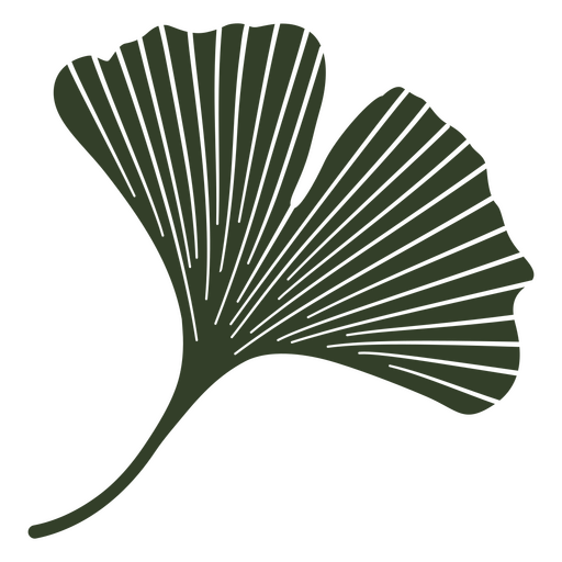 Ginkgo cut out leaves PNG Design