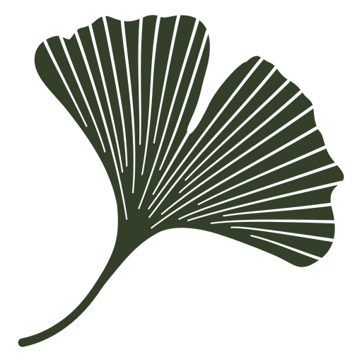 Ginkgo schneidet Blätter aus PNG-Design