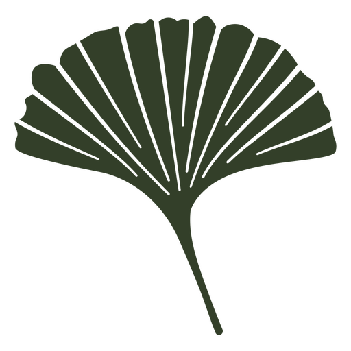 Ginkgo biloba Blätter ausgeschnitten PNG-Design