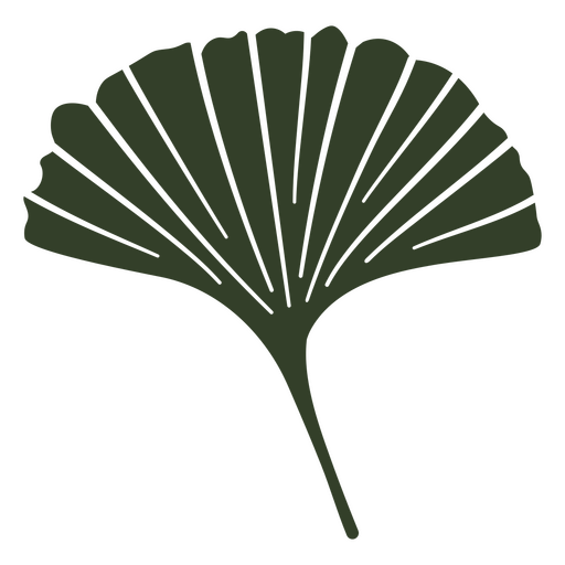 Ginkgo biloba corta folhas Desenho PNG