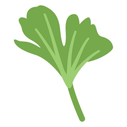 Hojas planas de ginkgo Diseño PNG