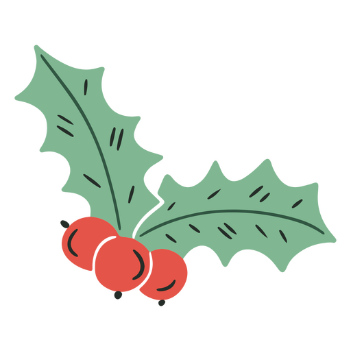 Mistletoe design to evoke holidays PNG Design