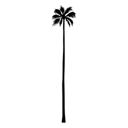 Wandtattoo Palme PNG-Design