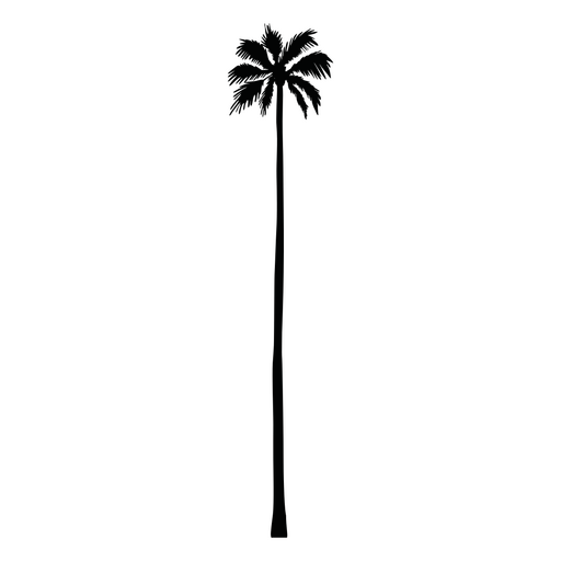Palm tree wall decal PNG Design