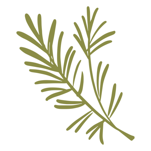 Folhas esverdeadas para elevar o espírito natalino Desenho PNG