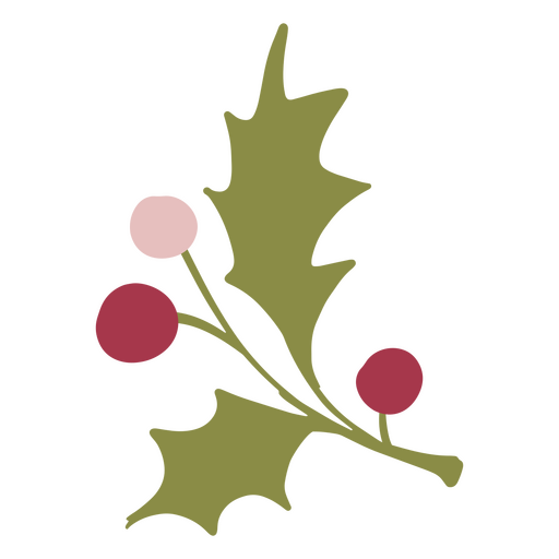 Mistletoes to evoke the Christmas spirit PNG Design