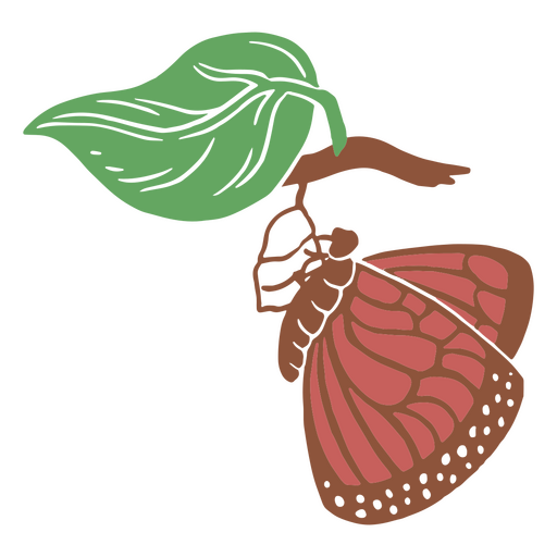 Borboleta em metamorfose Desenho PNG