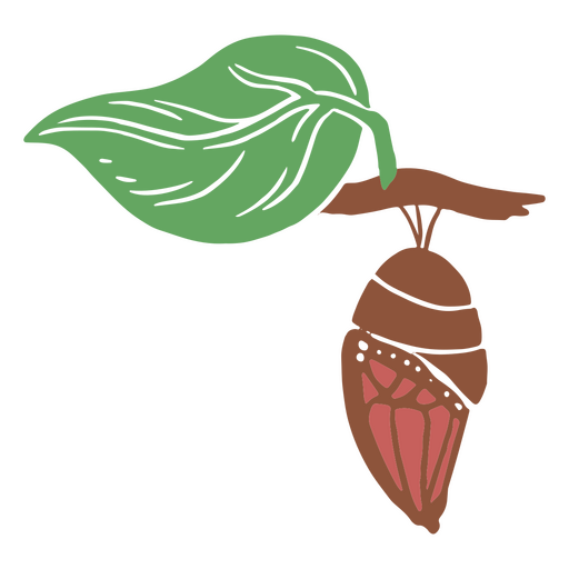 Uma borboleta em metamorfose Desenho PNG