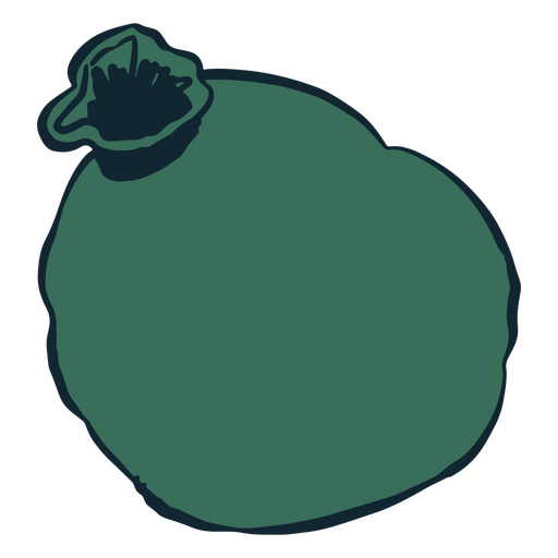 Green bag filled with things PNG Design