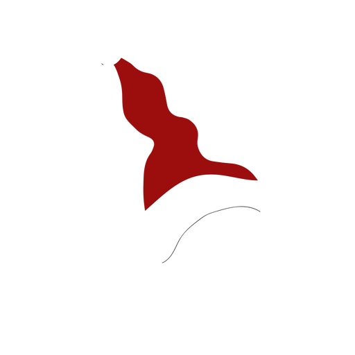 Crânio em um chapéu de Papai Noel Desenho PNG