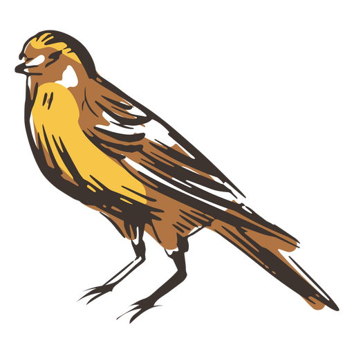 Isolierter auffälliger Vogel PNG-Design
