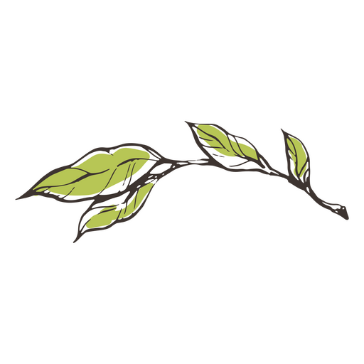 Isolated green branch PNG Design