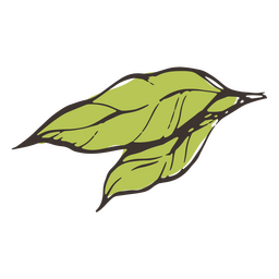 Two isolated green leaves  PNG Design