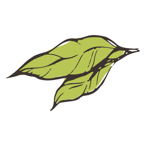 Zwei isolierte grüne Blätter PNG-Design