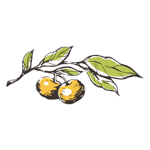 Ramo verde com sementes amarelas Desenho PNG