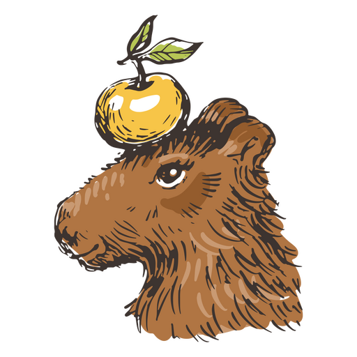 Capybara with a fruit atop its forehead PNG Design