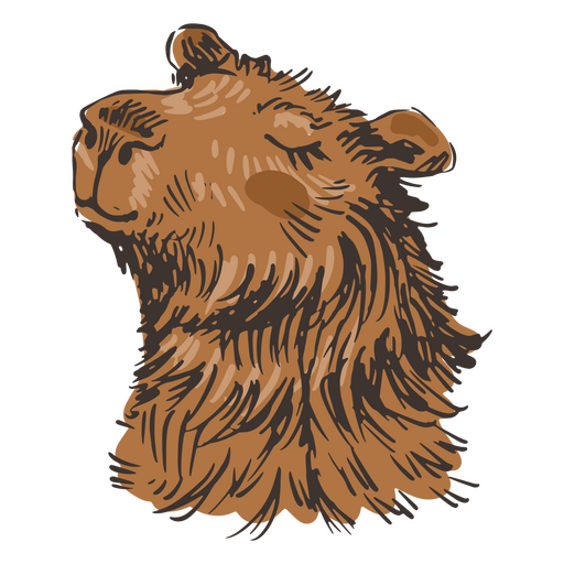 Capivara Desenho, Admirador De Arte, Cartola, mamífero, chapéu, carnívoro  png