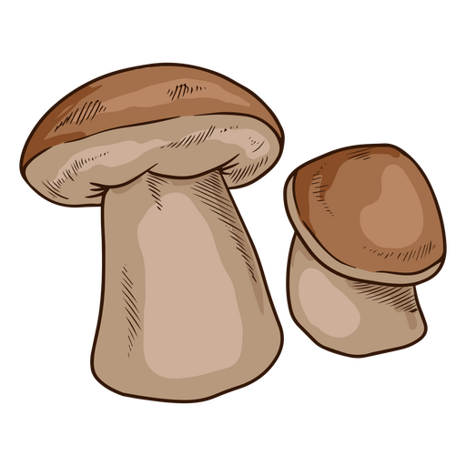 cogumelos de dar água na boca Desenho PNG