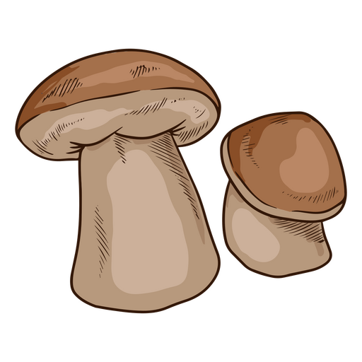 Mouthwatering mushrooms PNG Design