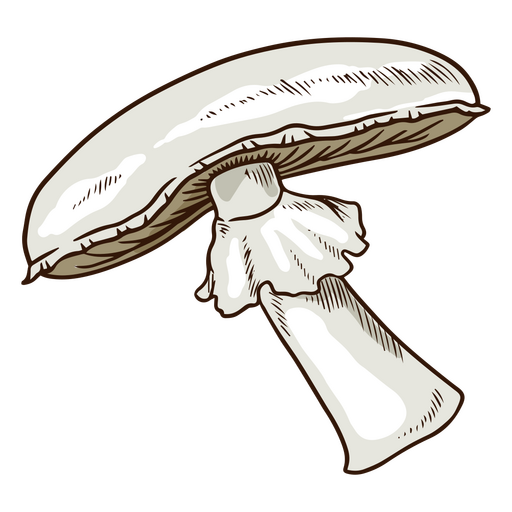 Cogumelos apetitosos Desenho PNG