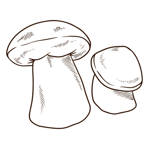 Appetizing mushrooms PNG Design