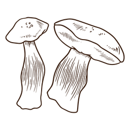 Palatable shrooms PNG Design