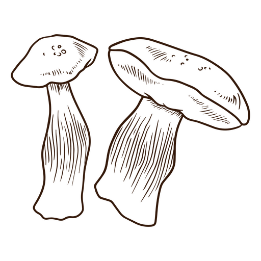 Palatable shrooms PNG Design