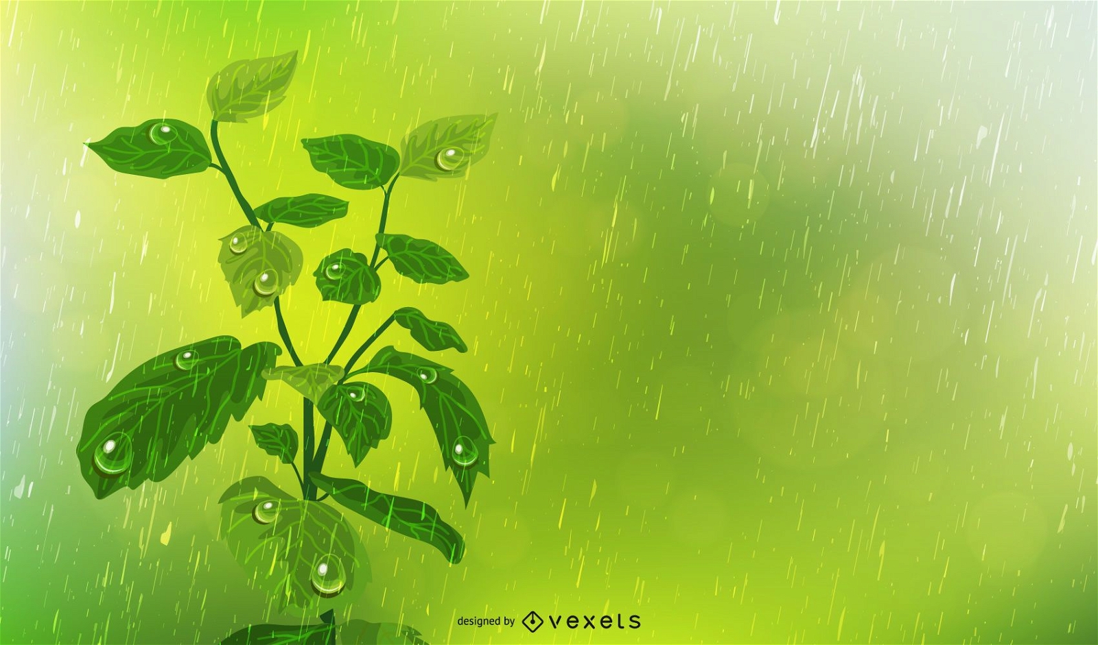 planta bajo la lluvia