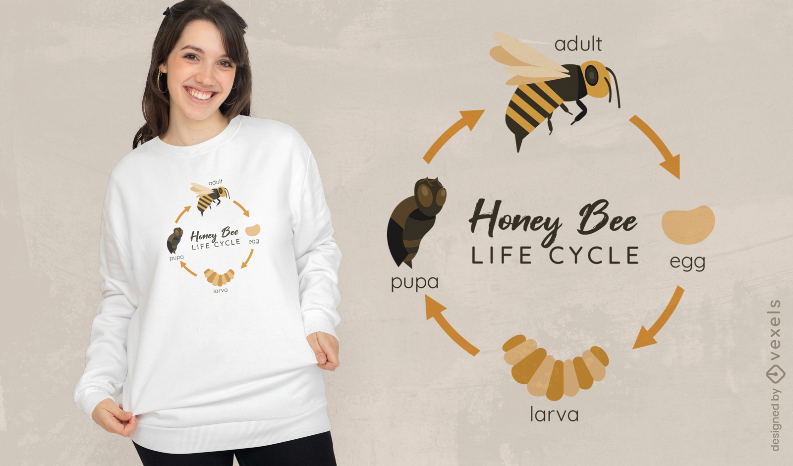 Diseño de camiseta de evolución de insectos abeja.
