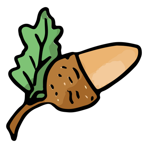 Acorn with green leaf PNG Design