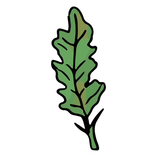 Folha de carvalho verdejante Desenho PNG