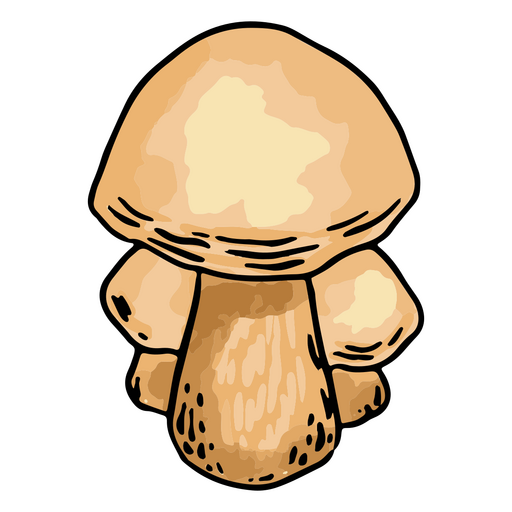 Splendid mushrooms PNG Design