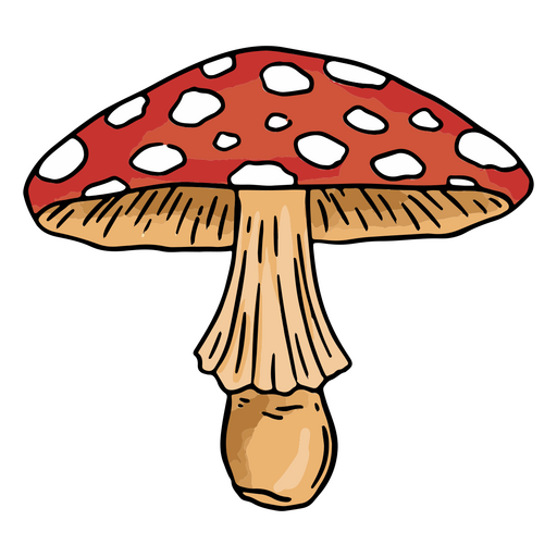 Mushroom with red cap and white spots PNG Design
