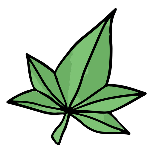 Folha verde isolada Desenho PNG