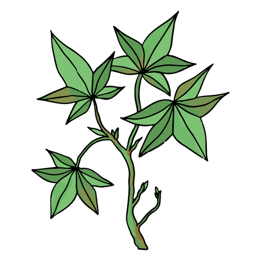 Hermosas hojas que crecen en una rama Diseño PNG