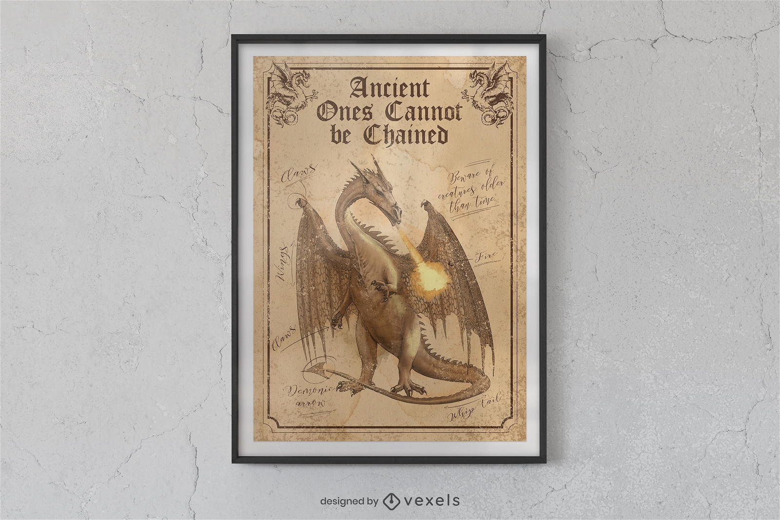 Diseño de cartel de dragón de enciclopedia.