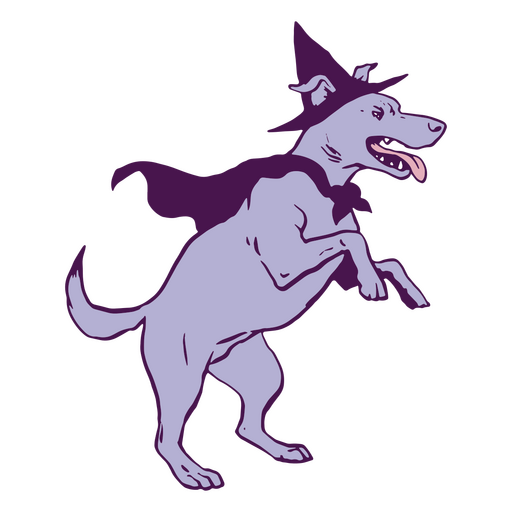 Dog using wizard costume PNG Design