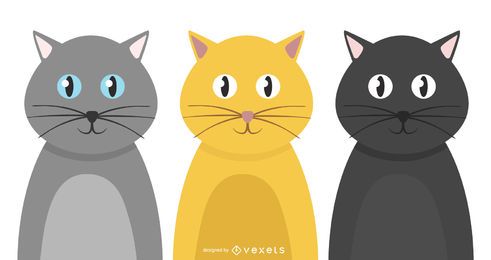 Conjunto de gato social