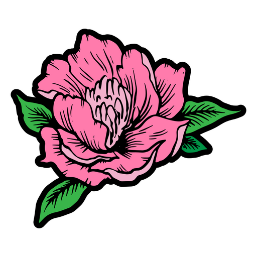 Blooming pink flower PNG Design