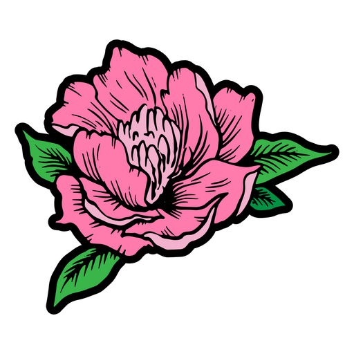 Blühende rosa Blume PNG-Design