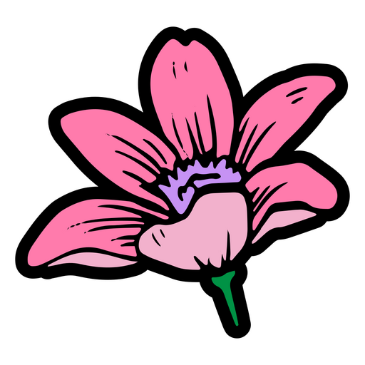 Margarita rosa delicada Diseño PNG