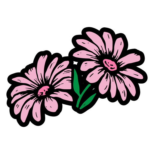 Rosa Gänseblümchen PNG-Design