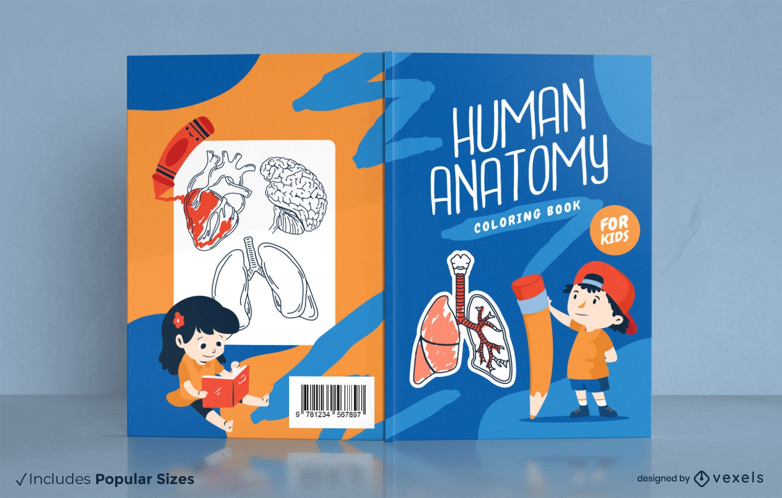 Anatomia humana para design de capa de livro infantil