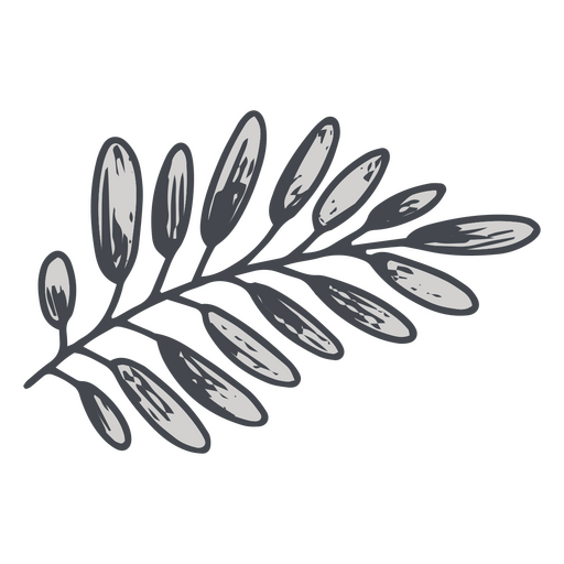 Branch of leaves monochromatic design PNG Design